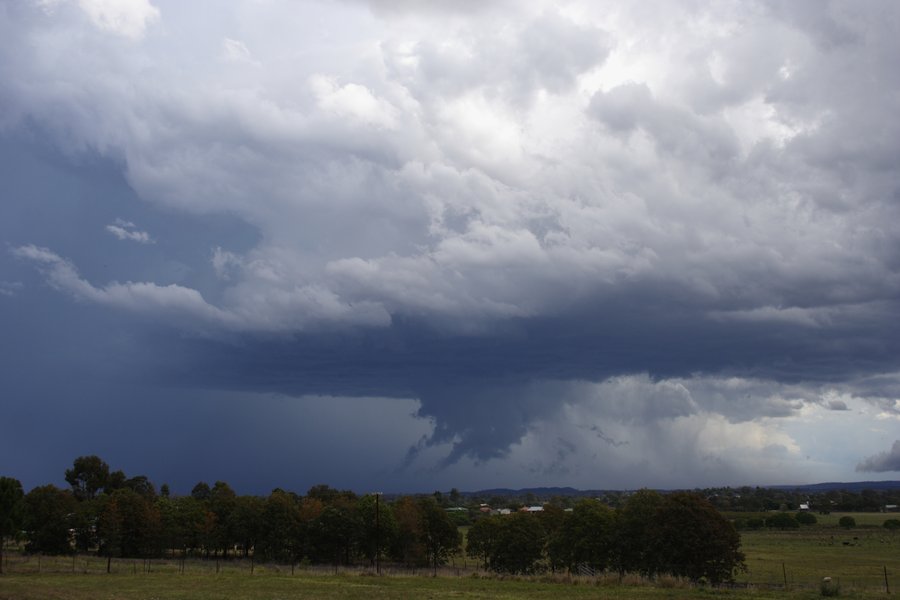 cumulonimbus supercell_thunderstorm : Casino, NSW   26 October 2007