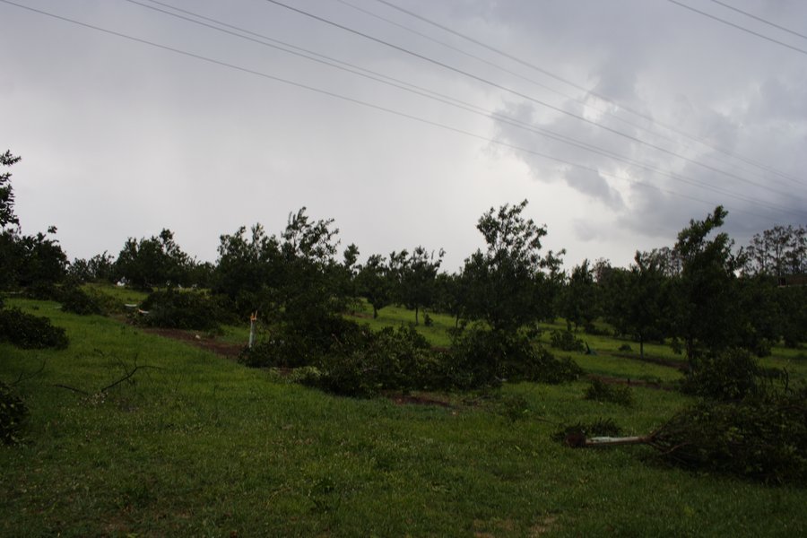 disasters storm_damage : Dunoon, NSW   26 October 2007