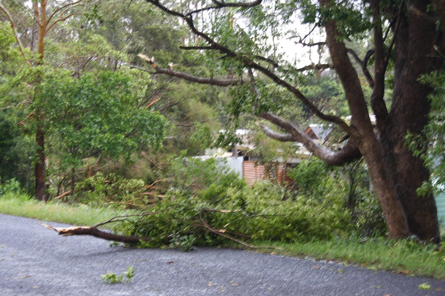 disasters storm_damage : Dunoon, NSW   26 October 2007