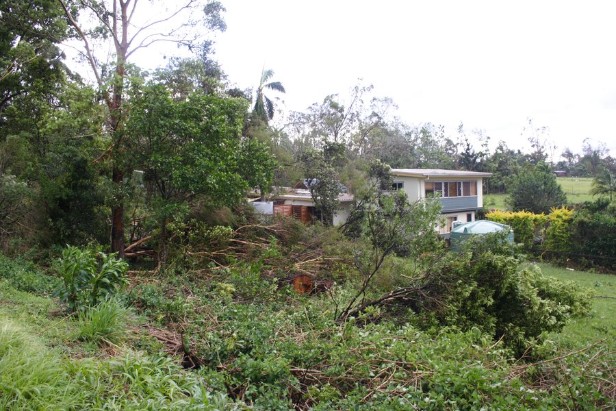 disasters storm_damage : Dunoon, NSW   26 October 2007