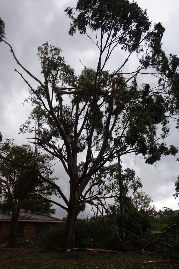 disasters storm_damage : Dunoon, NSW   26 October 2007