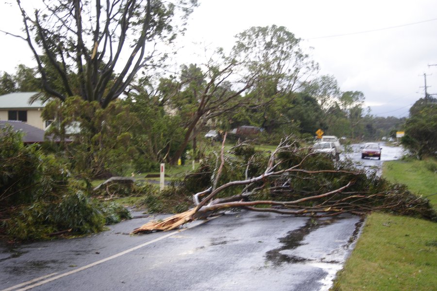 disasters storm_damage : Dunoon, NSW   26 October 2007