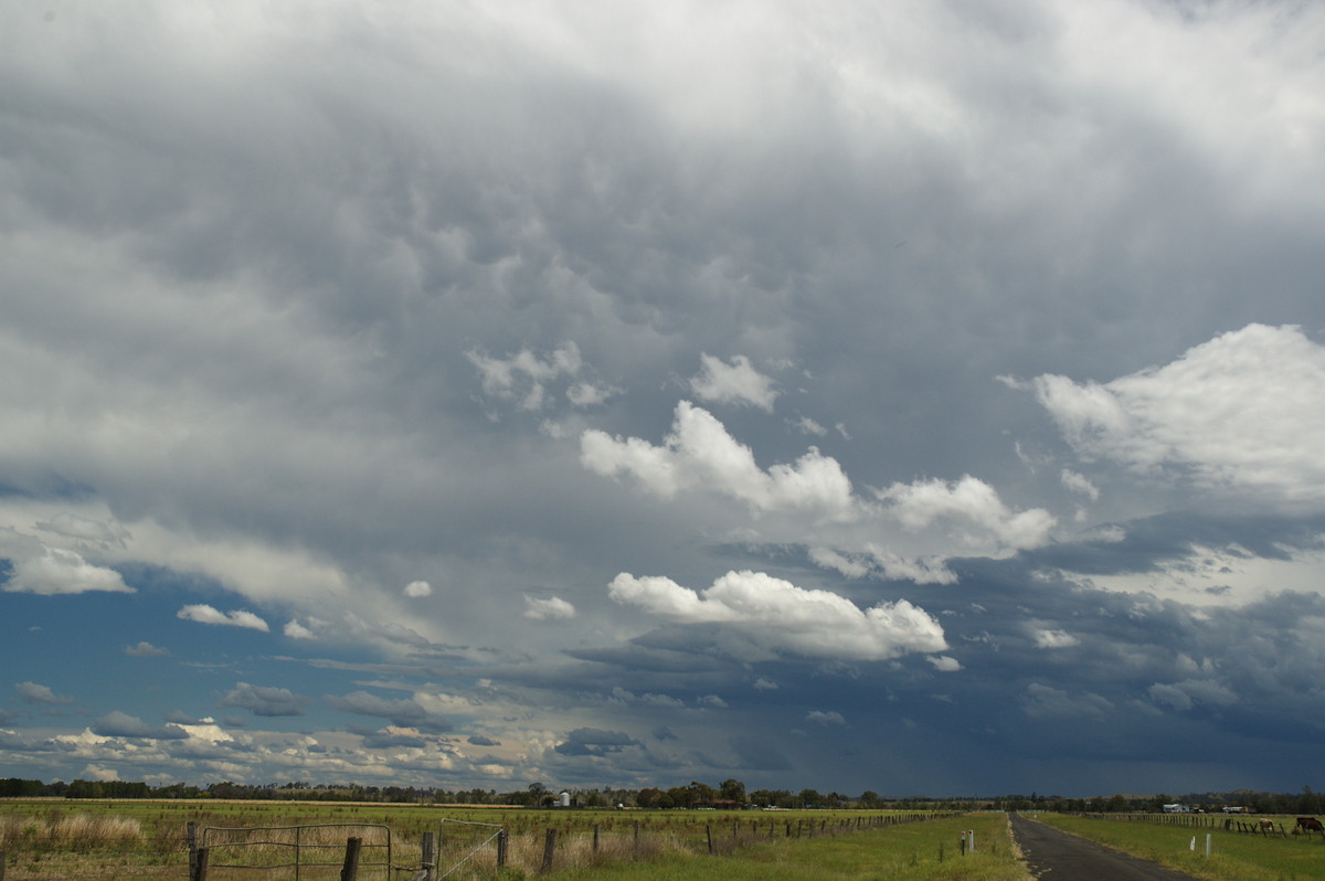 anvil thunderstorm_anvils : N of Casino, NSW   26 October 2007