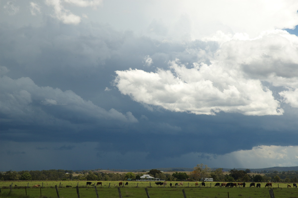 cumulonimbus thunderstorm_base : N of Casino, NSW   26 October 2007