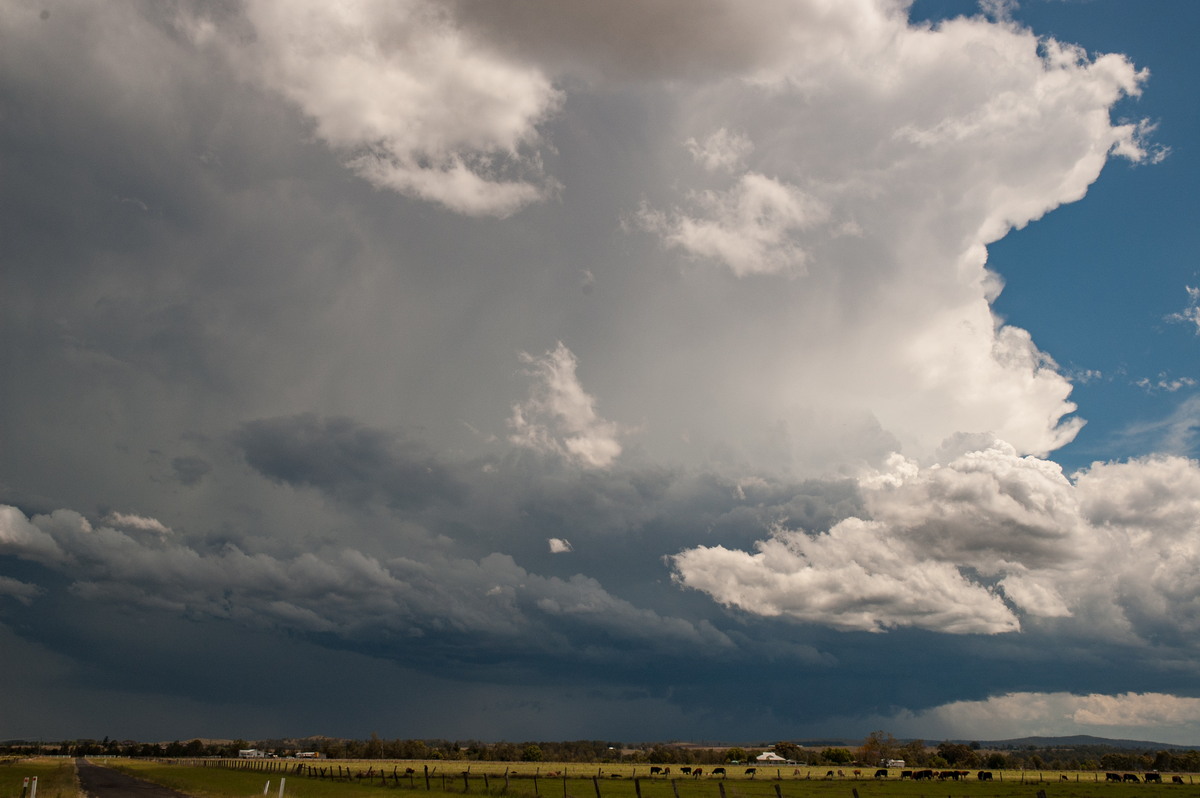 cumulonimbus supercell_thunderstorm : N of Casino, NSW   26 October 2007