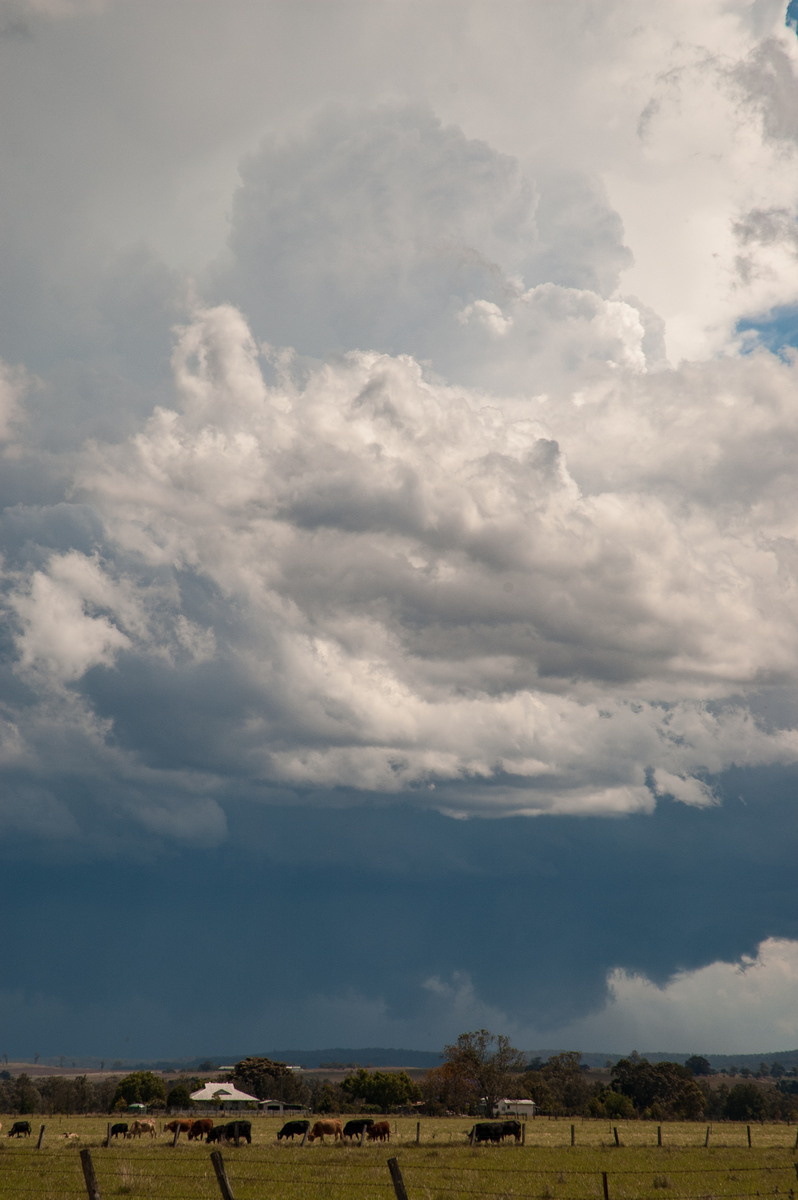 updraft thunderstorm_updrafts : N of Casino, NSW   26 October 2007