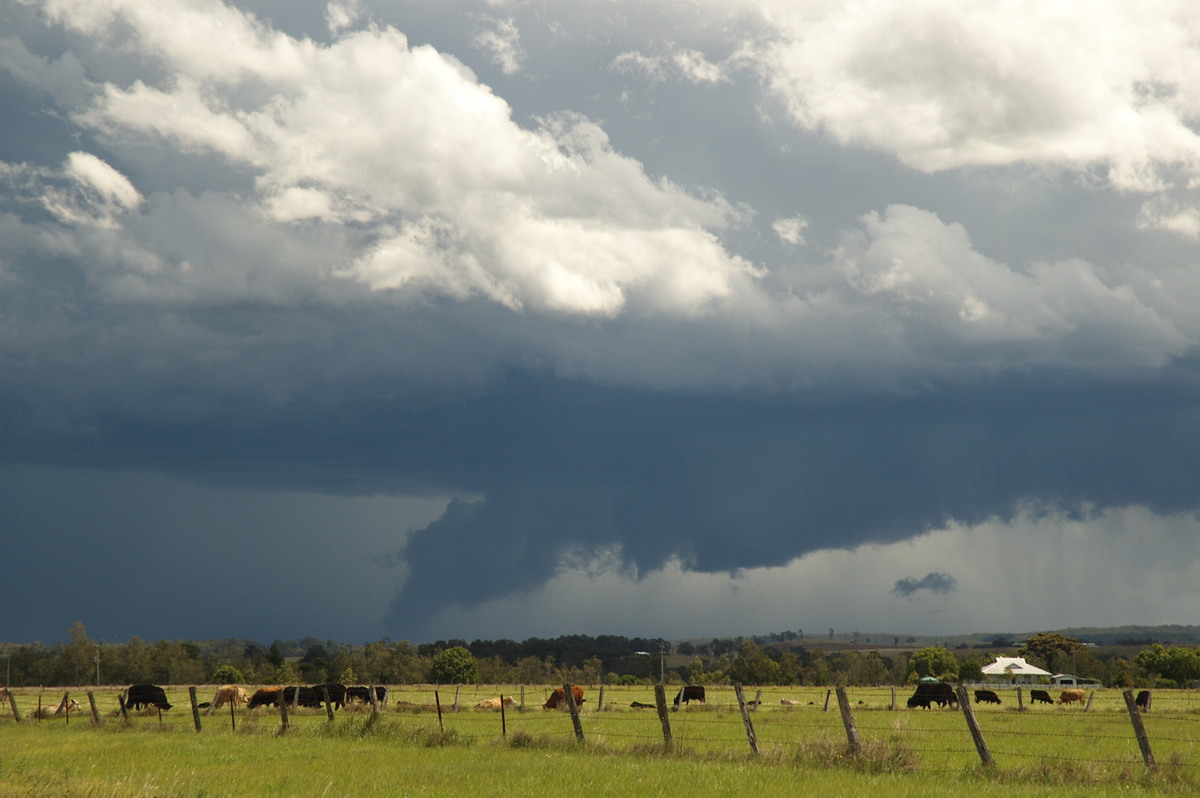 wallcloud thunderstorm_wall_cloud : N of Casino, NSW   26 October 2007