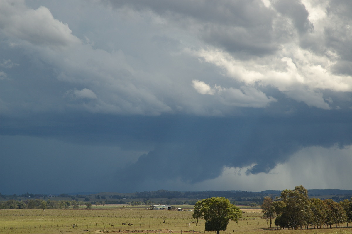 wallcloud thunderstorm_wall_cloud : N of Casino, NSW   26 October 2007