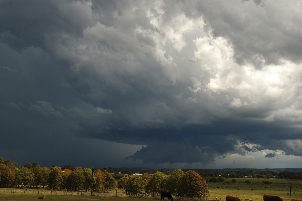 wallcloud thunderstorm_wall_cloud : Casino, NSW   26 October 2007