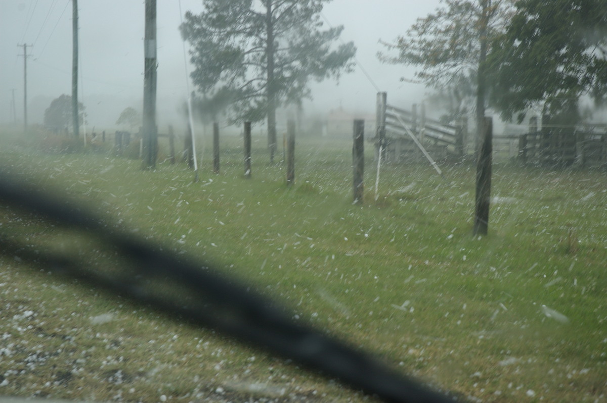 hailstones hail_stones : Tatham, NSW   26 October 2007