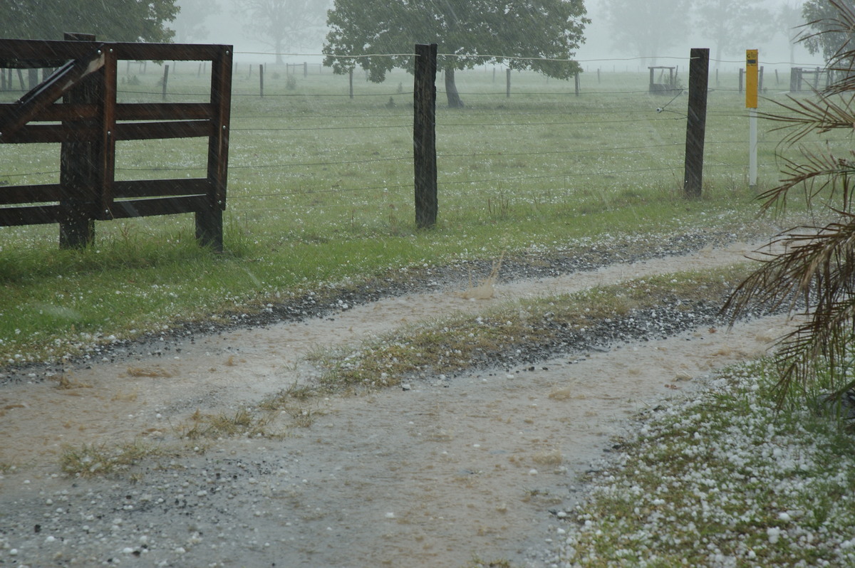 hailstones hail_stones : Tatham, NSW   26 October 2007