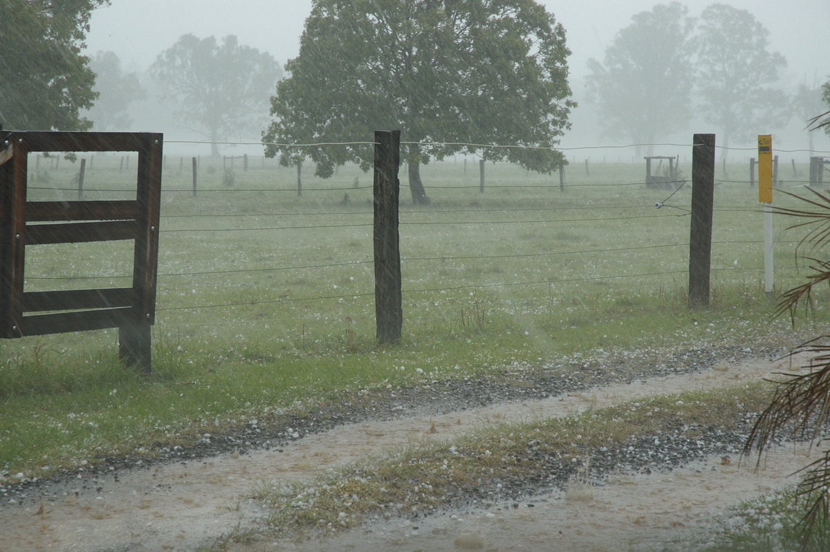 hailstones hail_stones : Tatham, NSW   26 October 2007