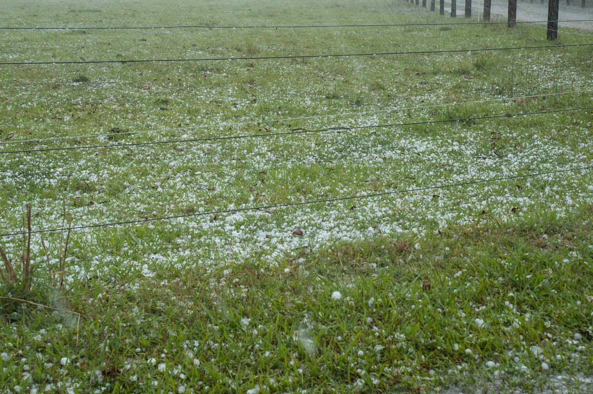 hailstones hail_stones : Tatham, NSW   26 October 2007