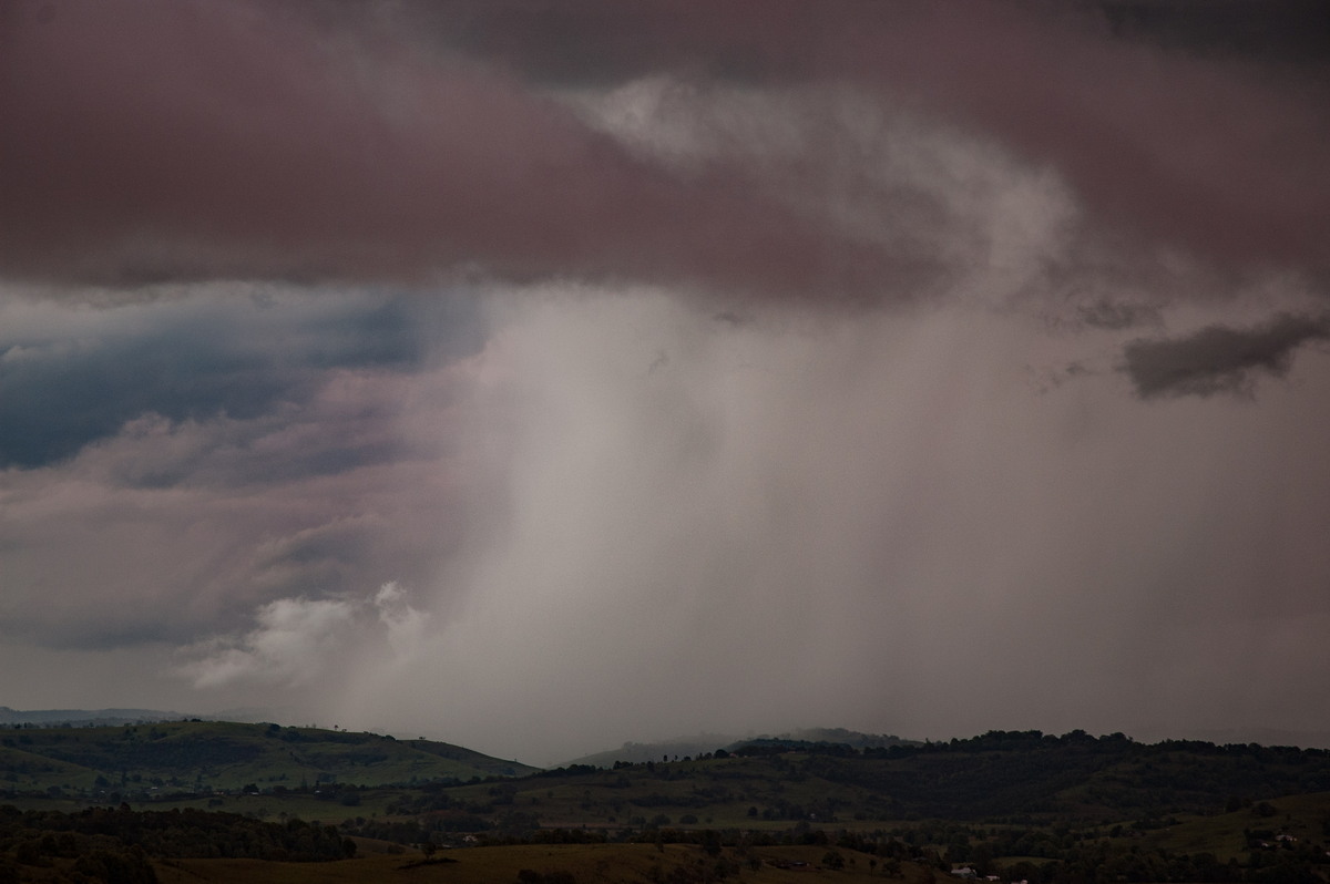 raincascade precipitation_cascade : McLeans Ridges, NSW   26 October 2007