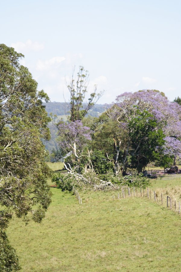 disasters storm_damage : Dunoon, NSW   27 October 2007