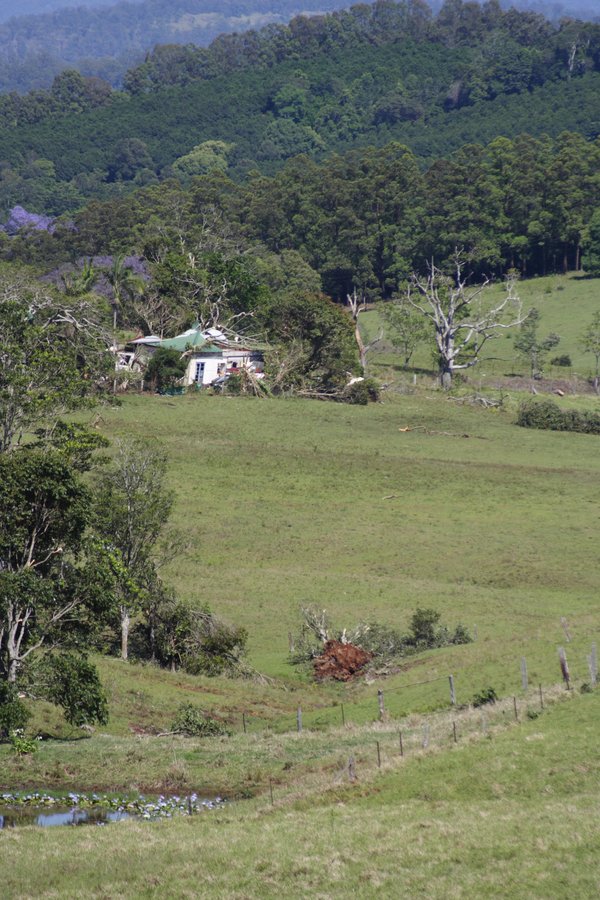 disasters storm_damage : Dunoon, NSW   27 October 2007