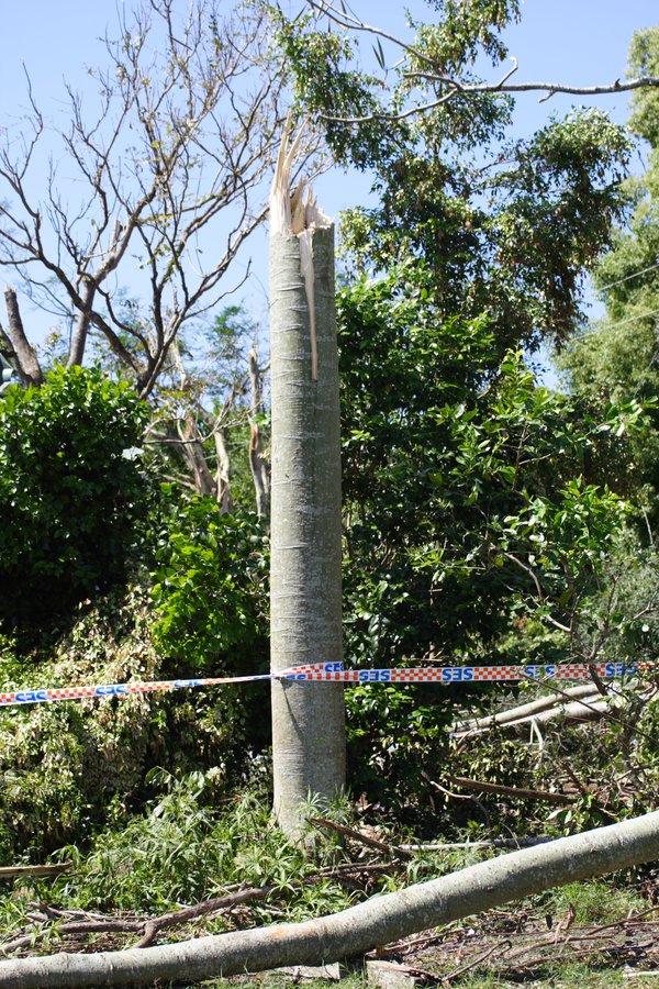 disasters storm_damage : Dunoon, NSW   27 October 2007