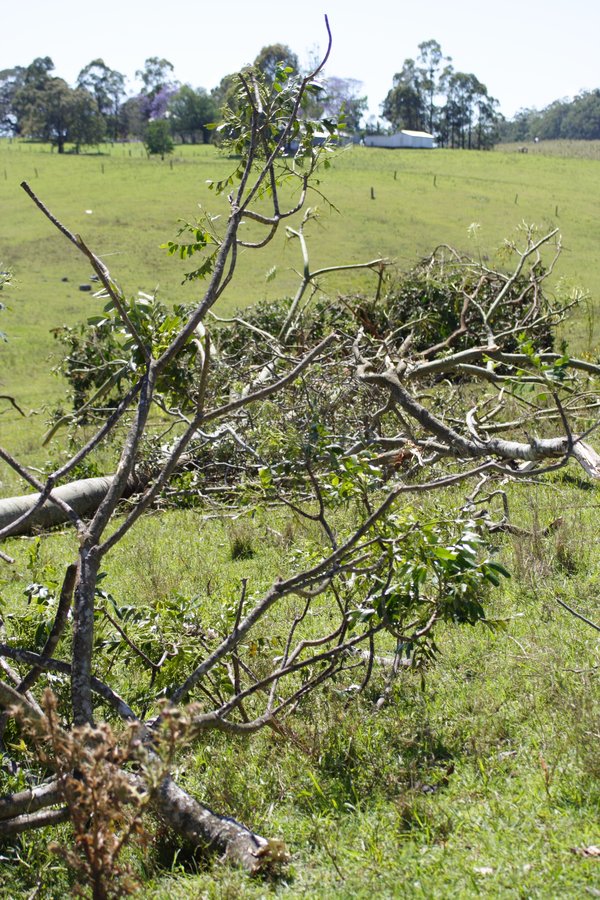 disasters storm_damage : Dunoon, NSW   27 October 2007