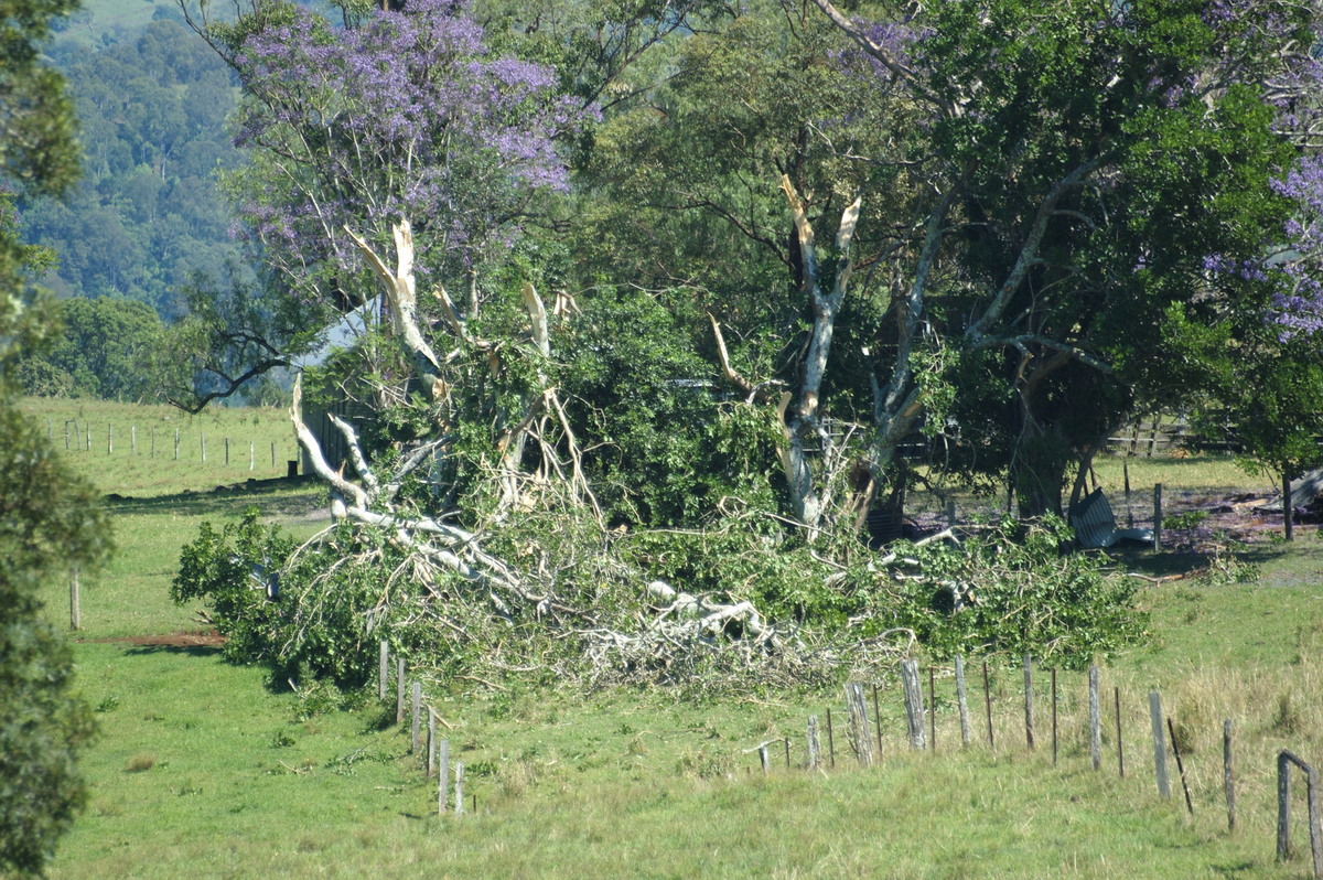 disasters storm_damage : Dunoon Tornado, NSW   27 October 2007