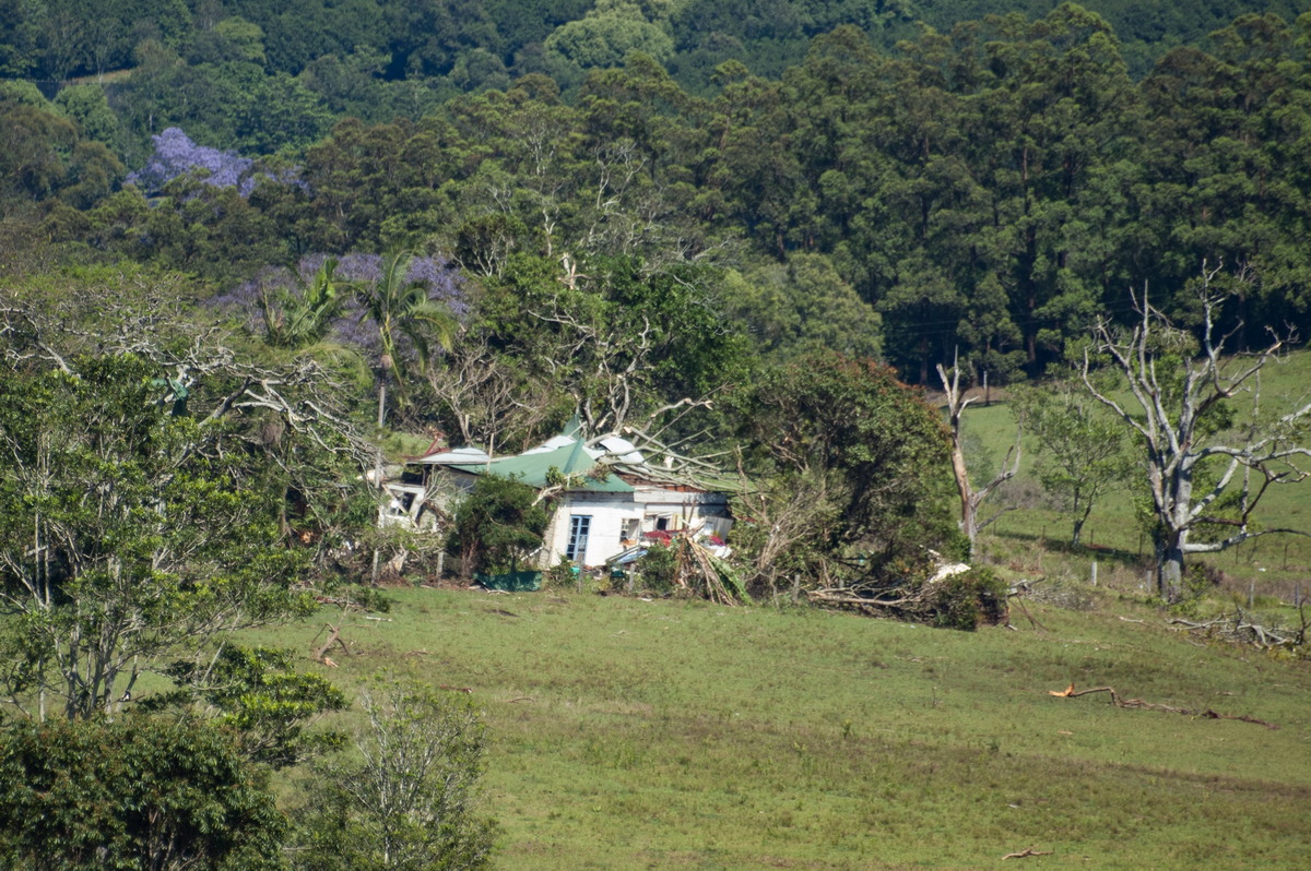 disasters storm_damage : Dunoon Tornado, NSW   27 October 2007