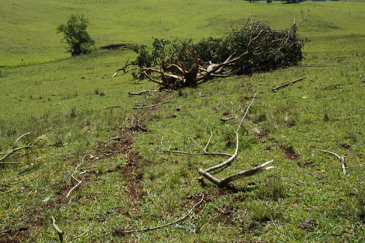 disasters storm_damage : Dunoon Tornado, NSW   27 October 2007