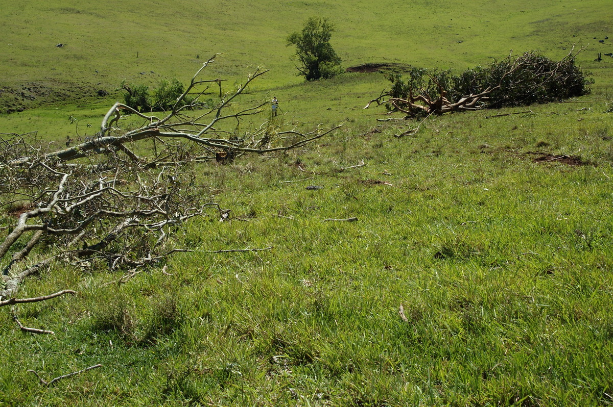 disasters storm_damage : Dunoon Tornado, NSW   27 October 2007