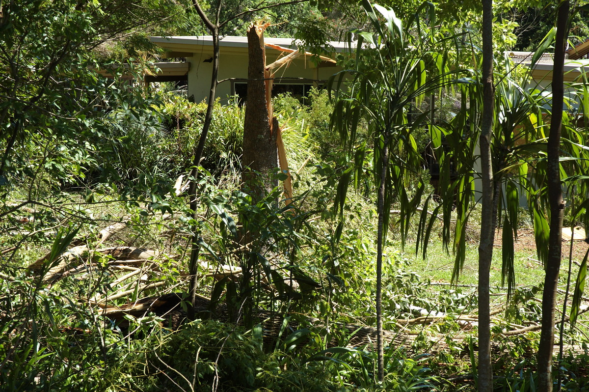 disasters storm_damage : Dunoon Tornado, NSW   27 October 2007