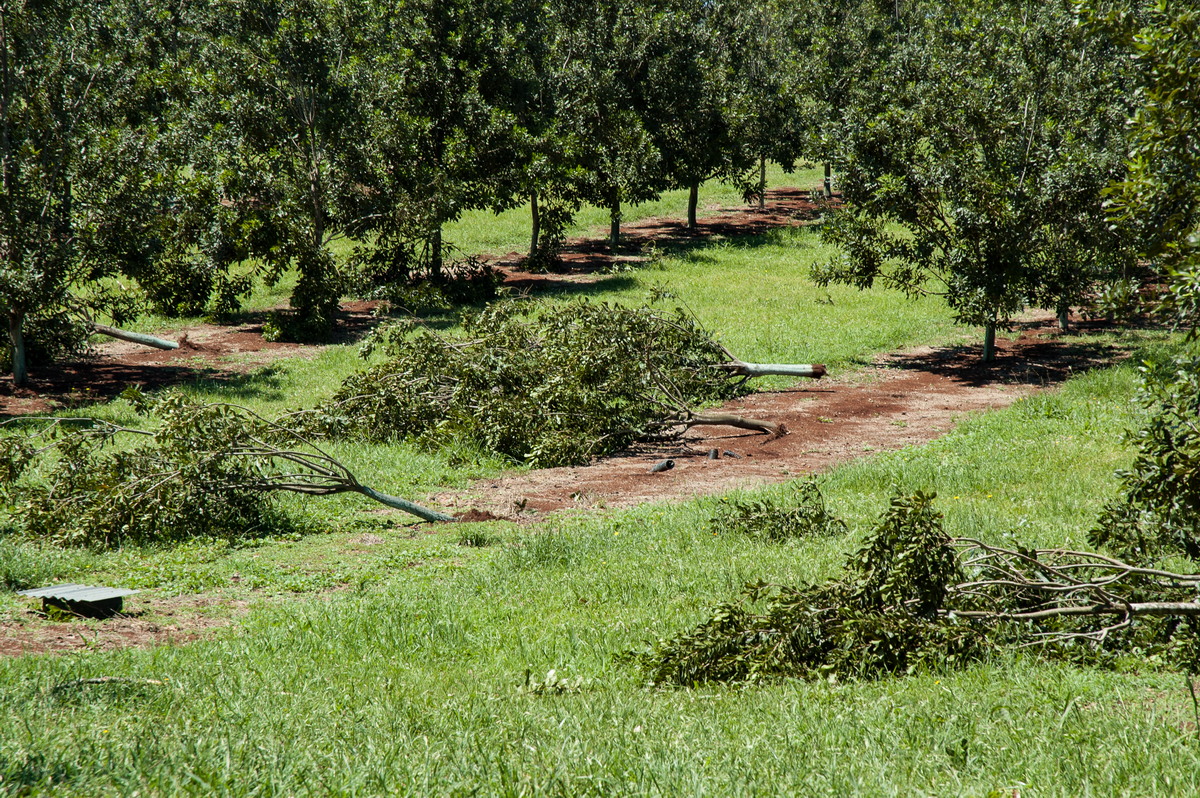 disasters storm_damage : Dunoon Tornado, NSW   27 October 2007