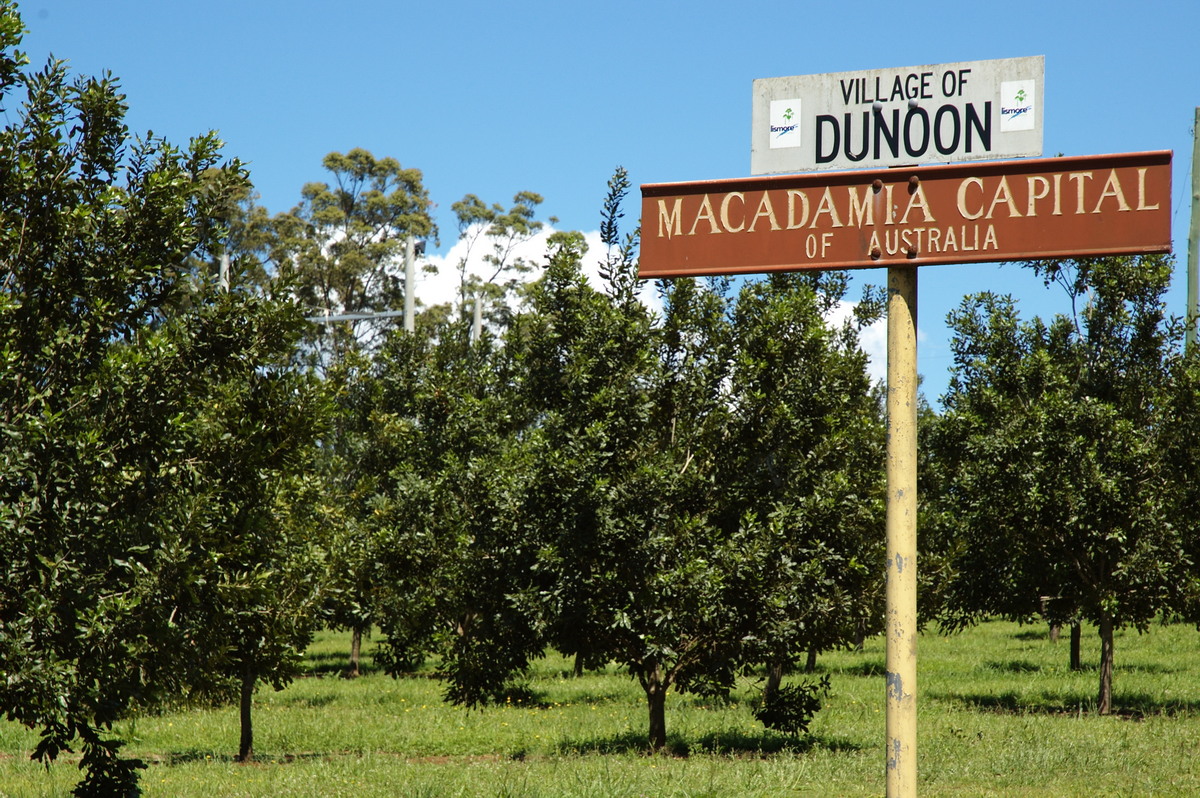 disasters storm_damage : Dunoon Tornado, NSW   27 October 2007