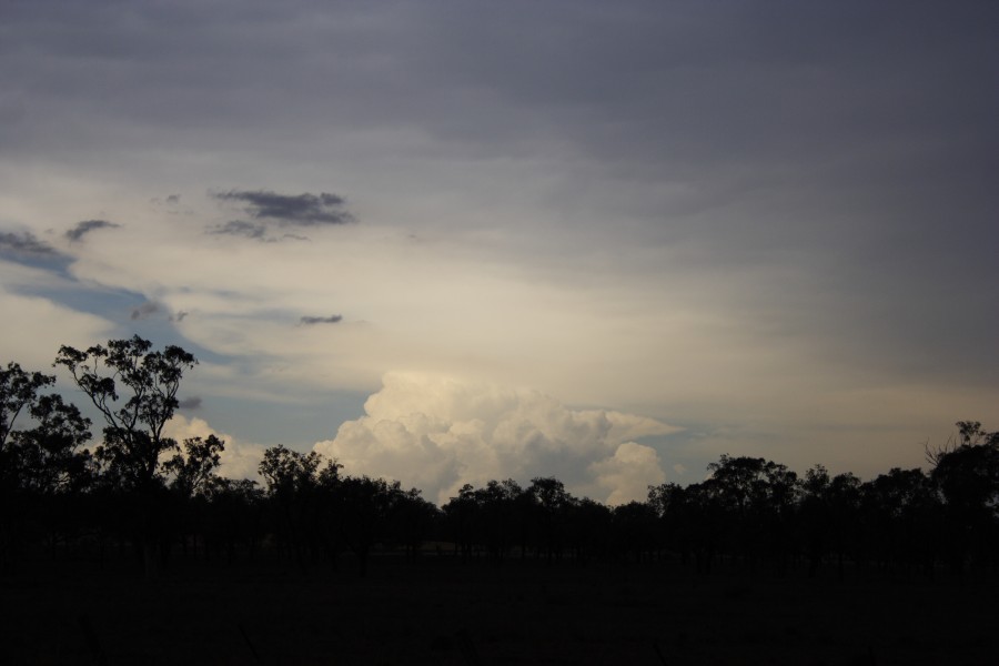 anvil thunderstorm_anvils : near North Star, NSW   31 October 2007