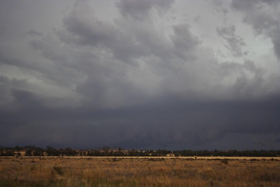 shelfcloud shelf_cloud : near North Star, NSW   31 October 2007