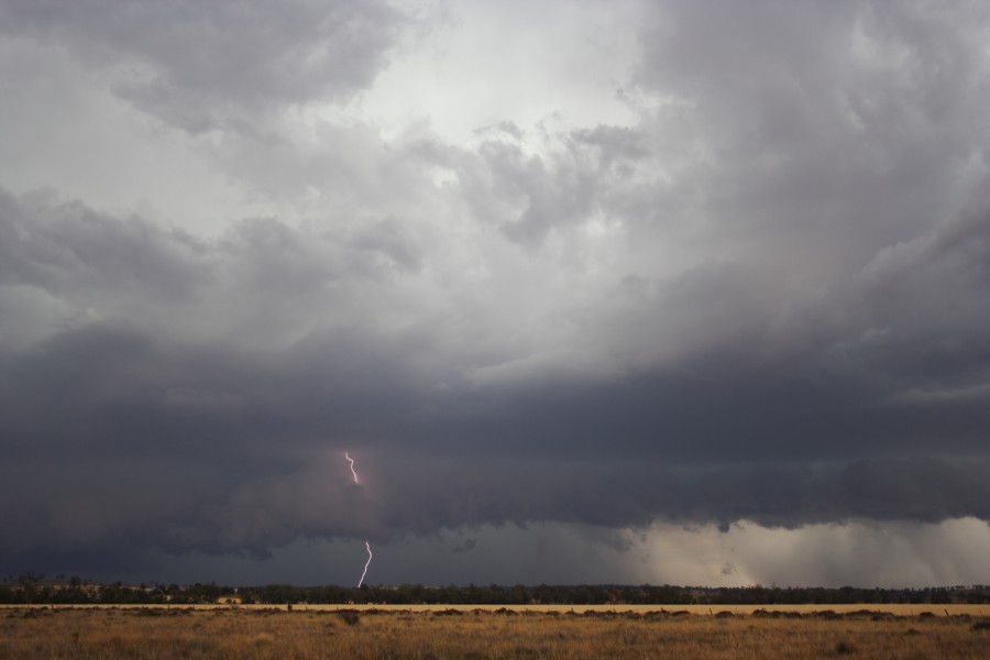 shelfcloud shelf_cloud : near North Star, NSW   31 October 2007