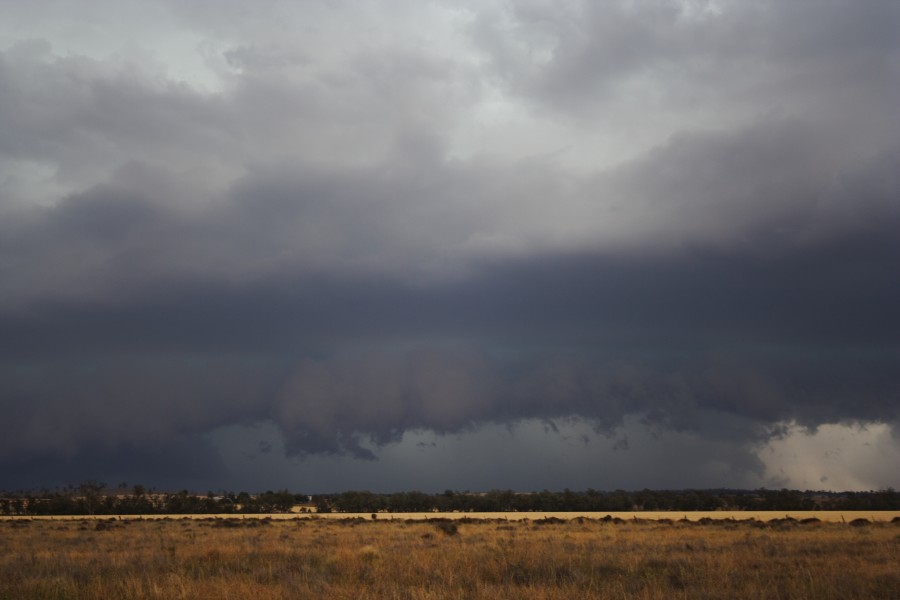 shelfcloud shelf_cloud : near North Star, NSW   31 October 2007