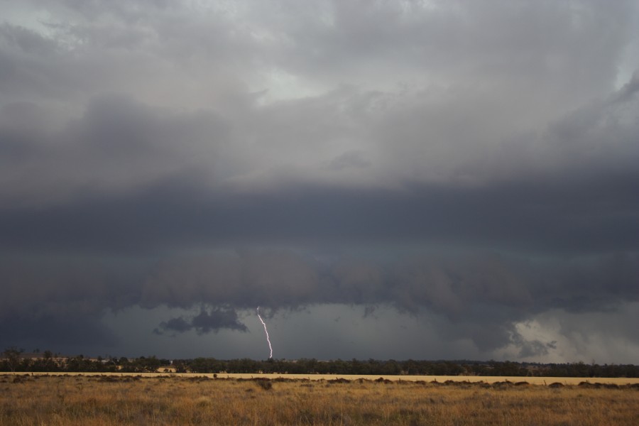 shelfcloud shelf_cloud : near North Star, NSW   31 October 2007