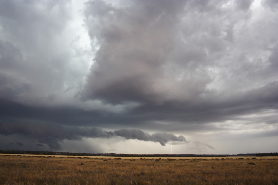 shelfcloud shelf_cloud : near North Star, NSW   31 October 2007