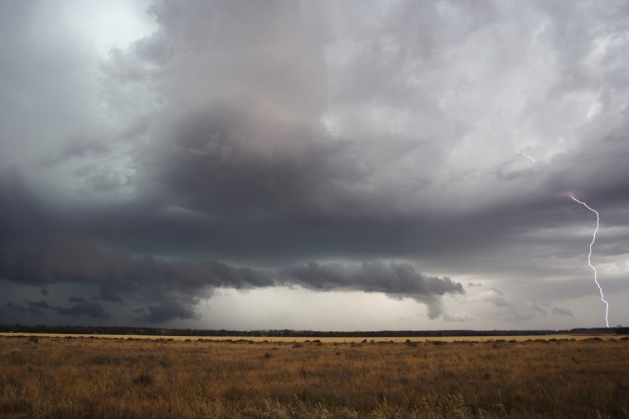 shelfcloud shelf_cloud : near North Star, NSW   31 October 2007