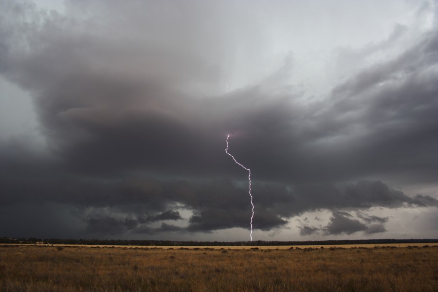 cumulonimbus thunderstorm_base : near North Star, NSW   31 October 2007