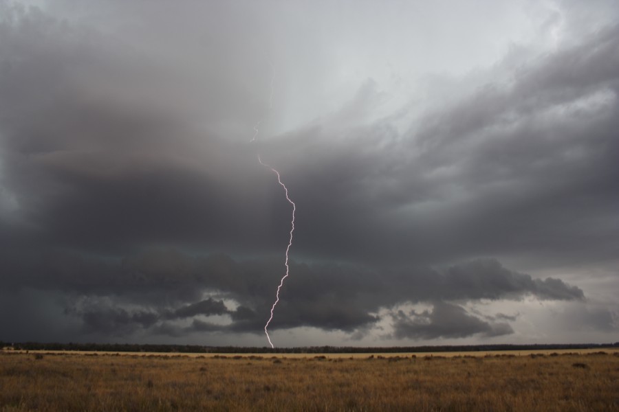 shelfcloud shelf_cloud : near North Star, NSW   31 October 2007