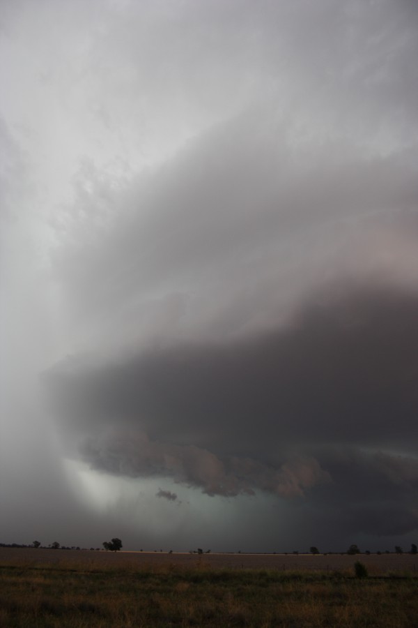 shelfcloud shelf_cloud : near North Star, NSW   31 October 2007