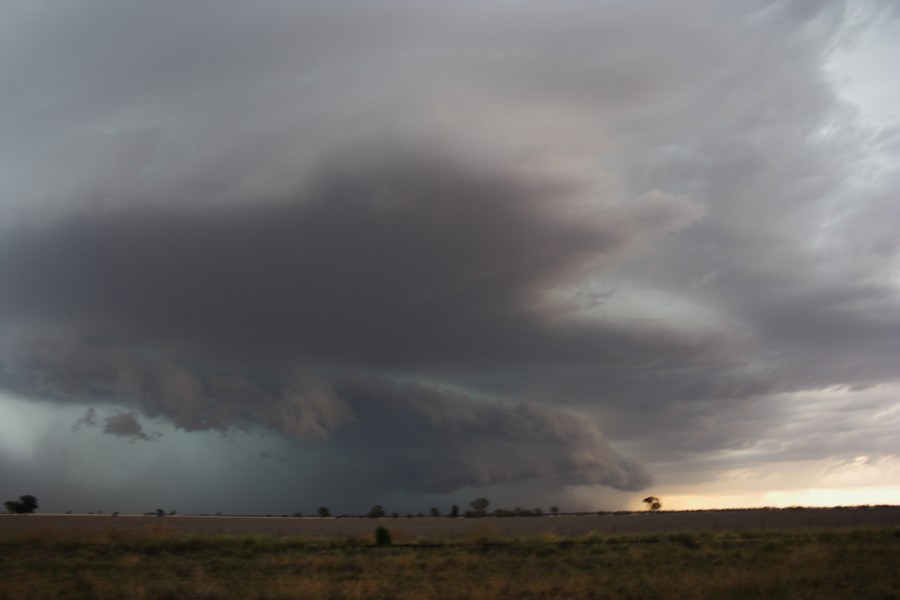 shelfcloud shelf_cloud : near North Star, NSW   31 October 2007