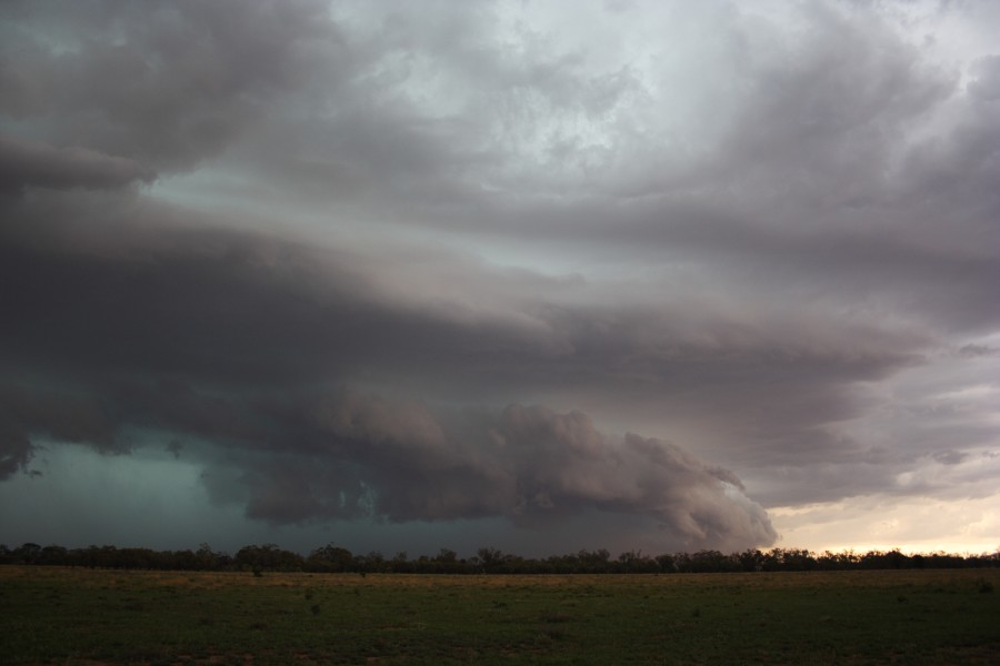 shelfcloud shelf_cloud : near North Star, NSW   31 October 2007