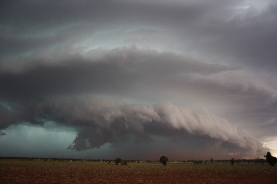 shelfcloud shelf_cloud : near North Star, NSW   31 October 2007