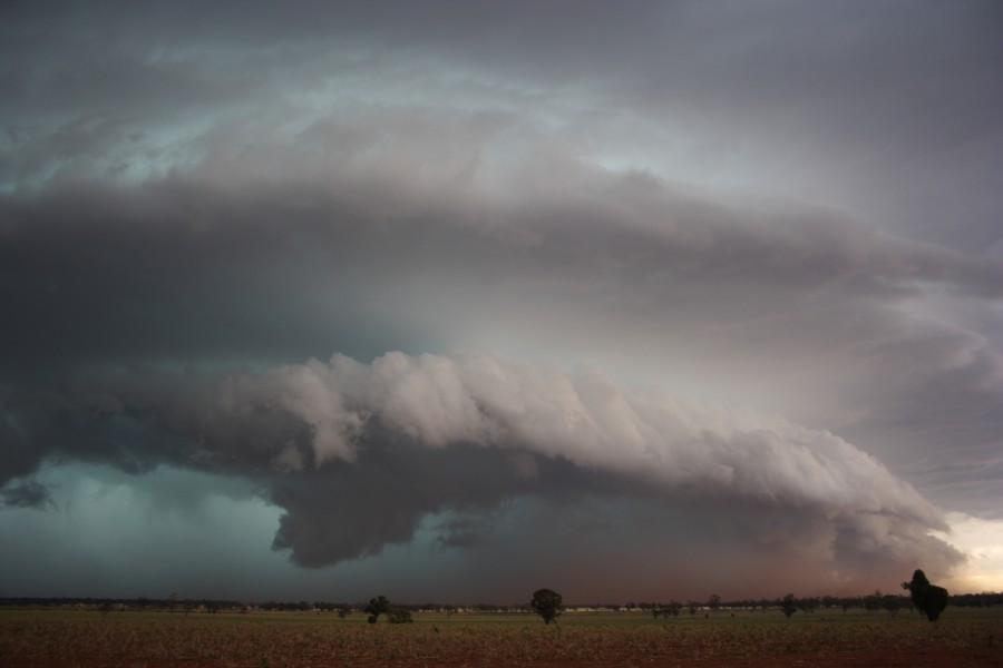 shelfcloud shelf_cloud : near North Star, NSW   31 October 2007