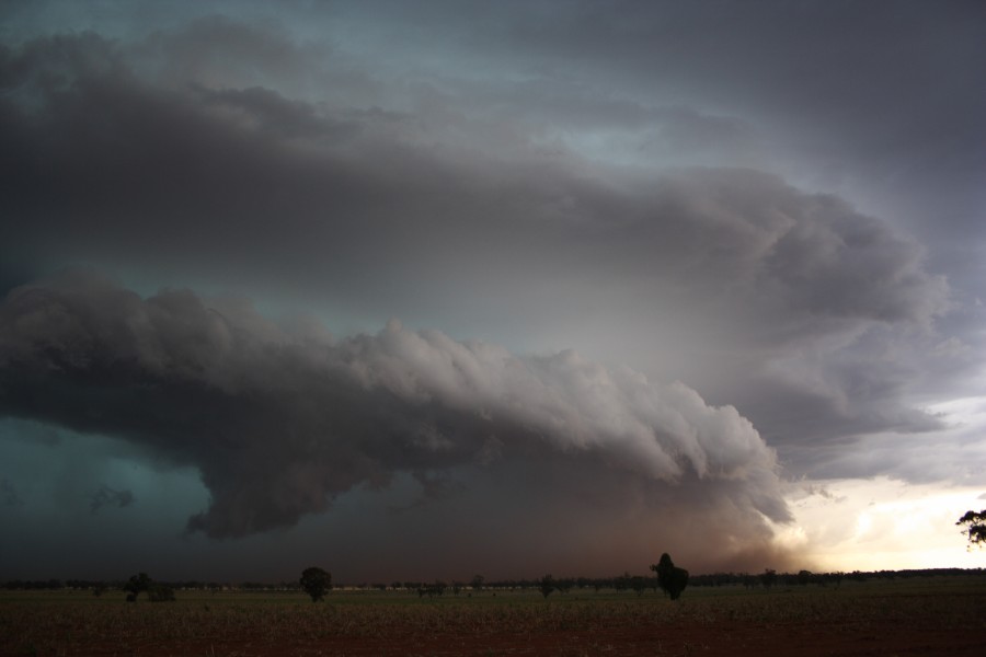 shelfcloud shelf_cloud : near North Star, NSW   31 October 2007