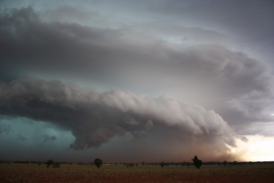 shelfcloud shelf_cloud : near North Star, NSW   31 October 2007