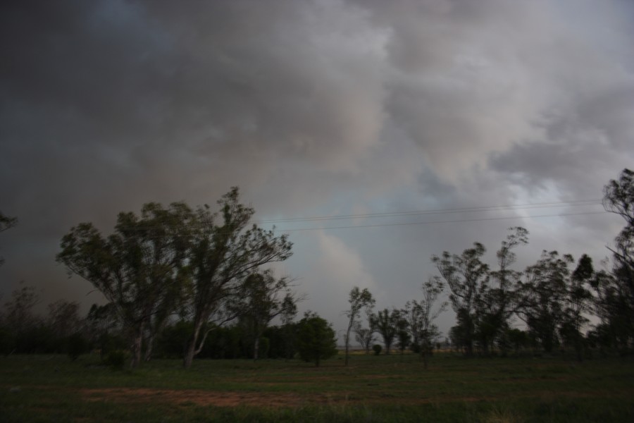 cumulonimbus thunderstorm_base : near North Star, NSW   31 October 2007