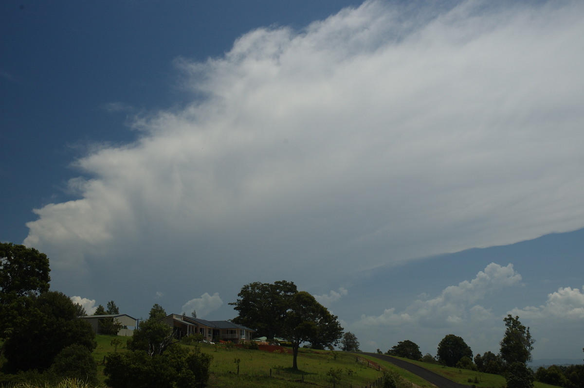 anvil thunderstorm_anvils : McLeans Ridges, NSW   31 October 2007