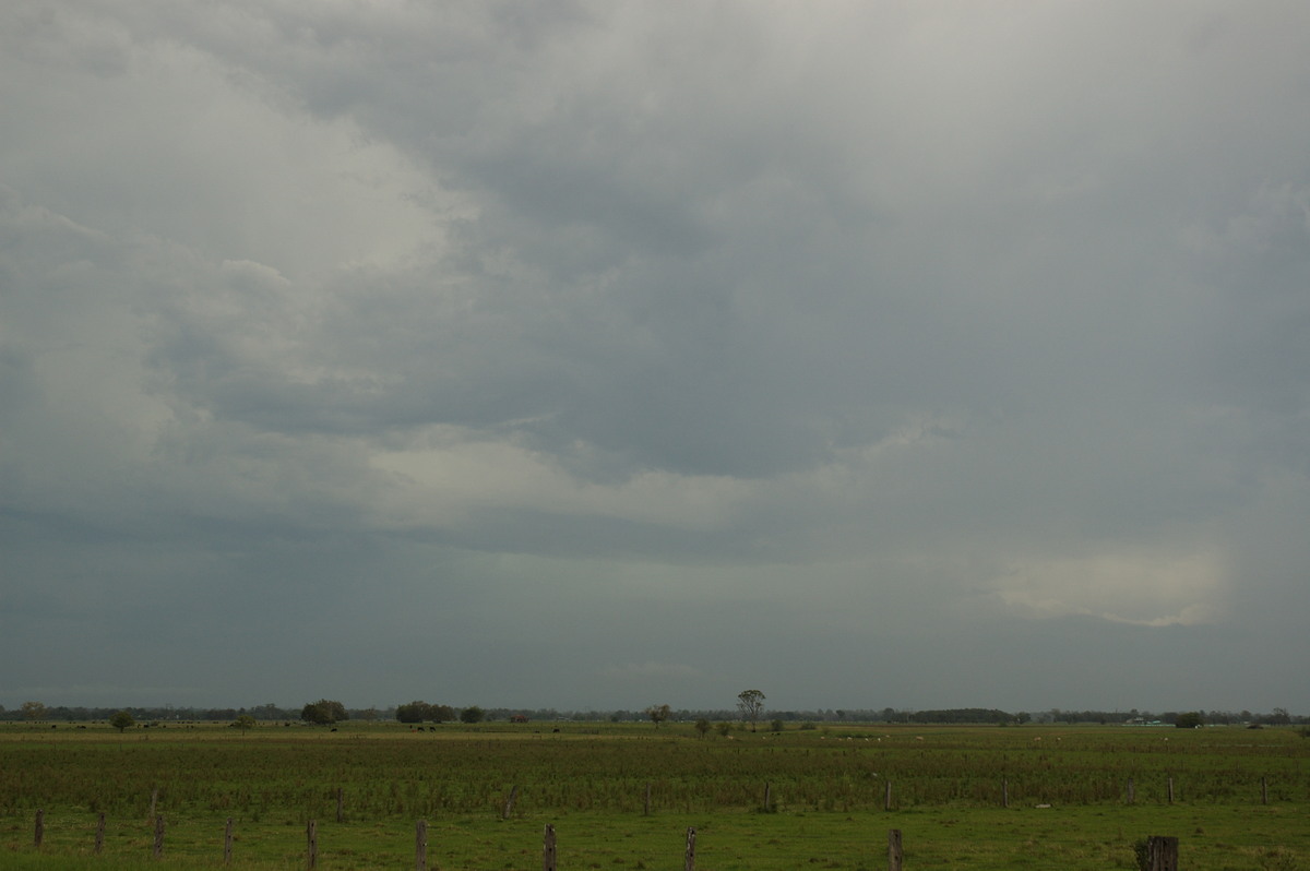 cumulonimbus thunderstorm_base : near Coraki, NSW   31 October 2007