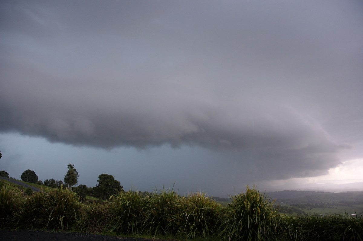 shelfcloud shelf_cloud : McLeans Ridges, NSW   2 November 2007