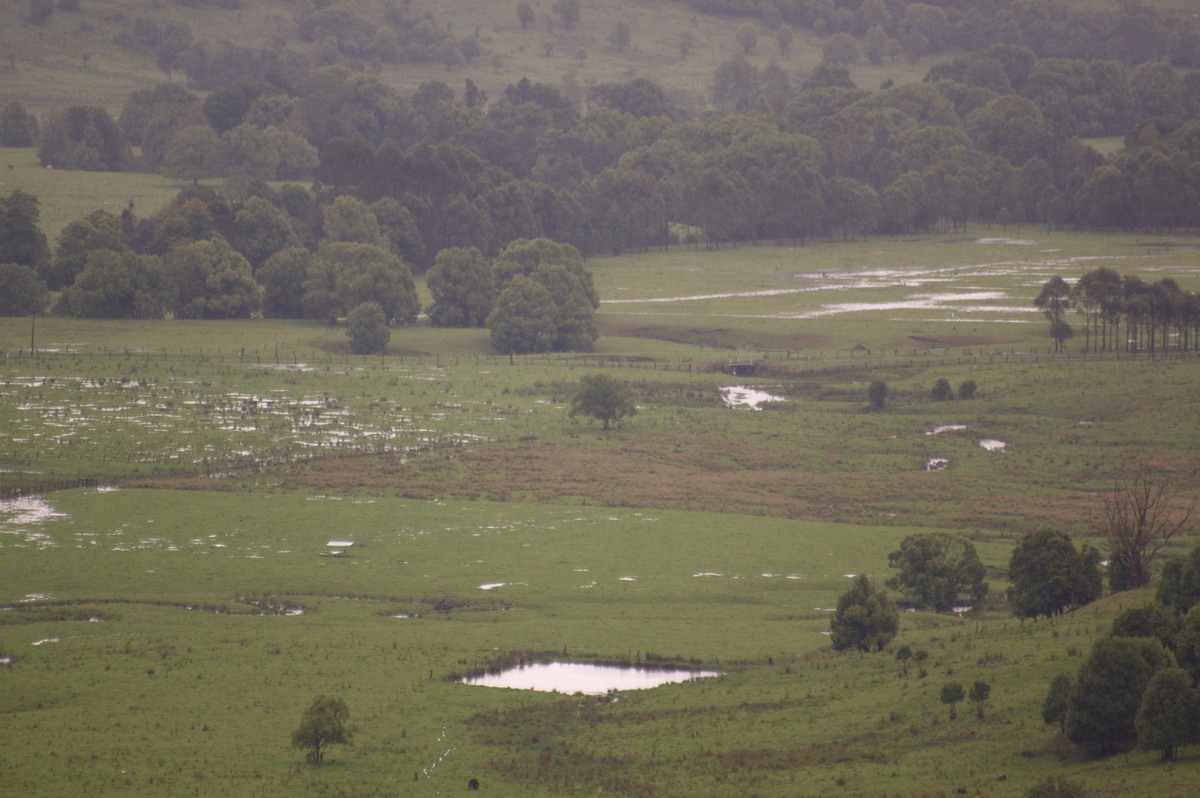 flashflooding flood_pictures : McLeans Ridges, NSW   2 November 2007